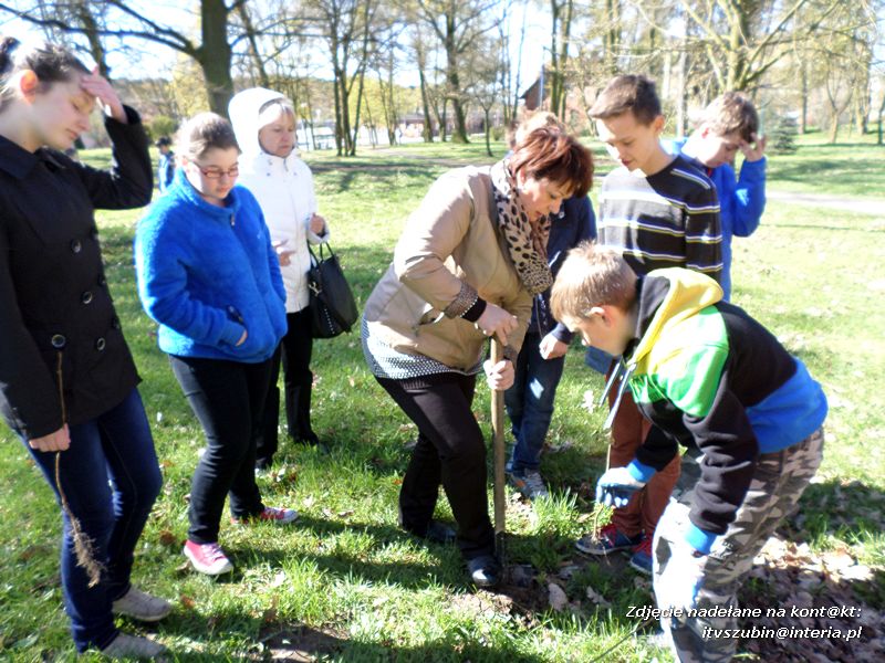 100 drzew na 100-lecie szkoły