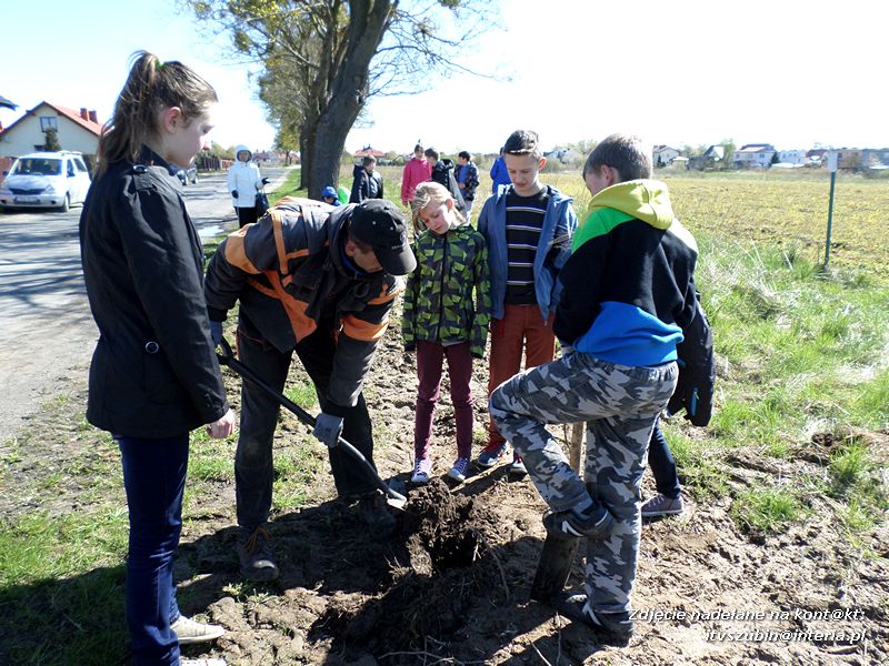 100 drzew na 100-lecie szkoły