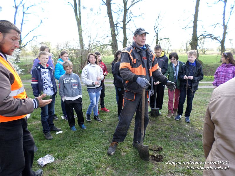 100 drzew na 100-lecie szkoły