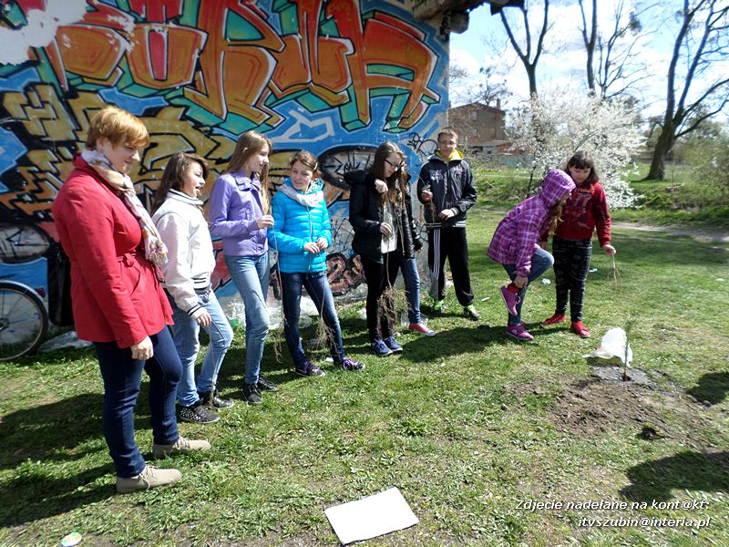 100 drzew na 100-lecie szkoły