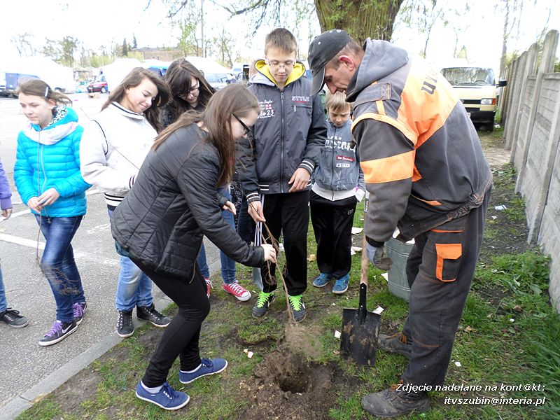 100 drzew na 100-lecie szkoły