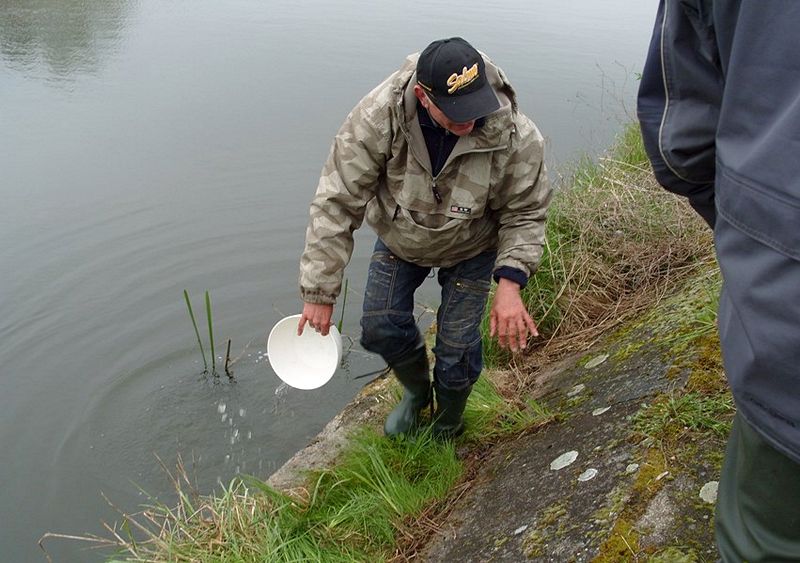 Zawody koła PZW 128 Szubin w Antoniewie