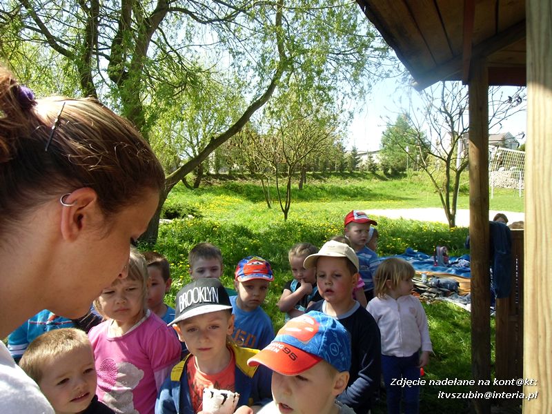 Biedroneczki z Turu w Samoklęskach Małych