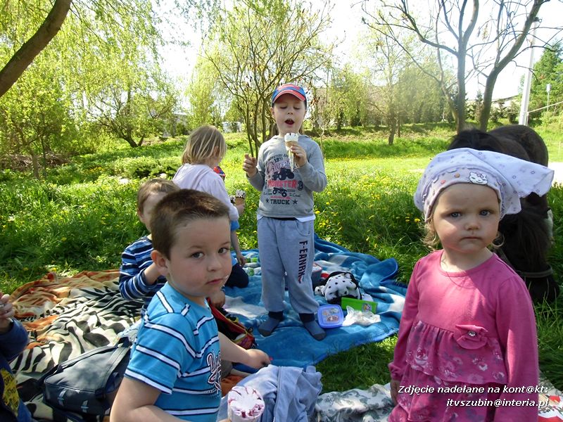 Biedroneczki z Turu w Samoklęskach Małych