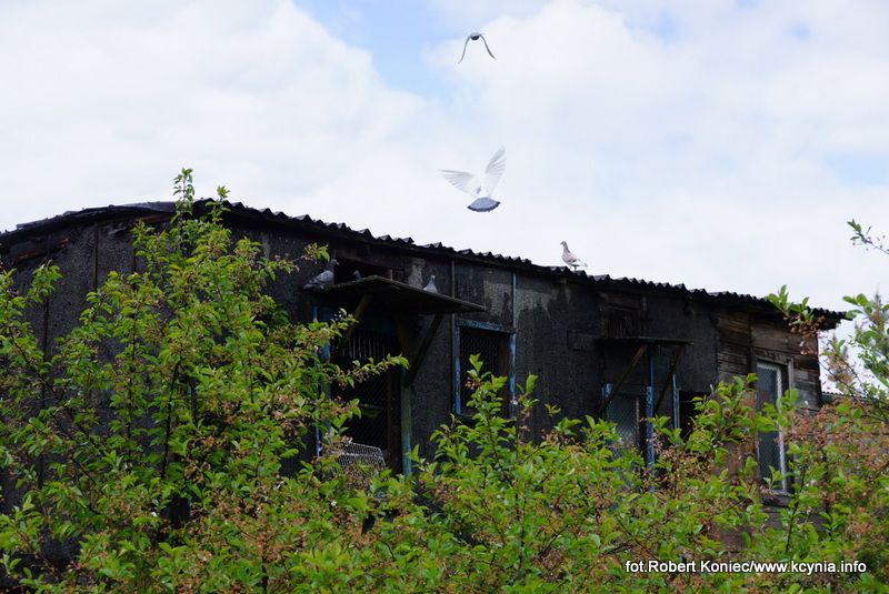 Informacje o działaniach straży pożarnej na terenie powiatu nakielskiego w okresie 29.04.2014 ? 4.05.2014