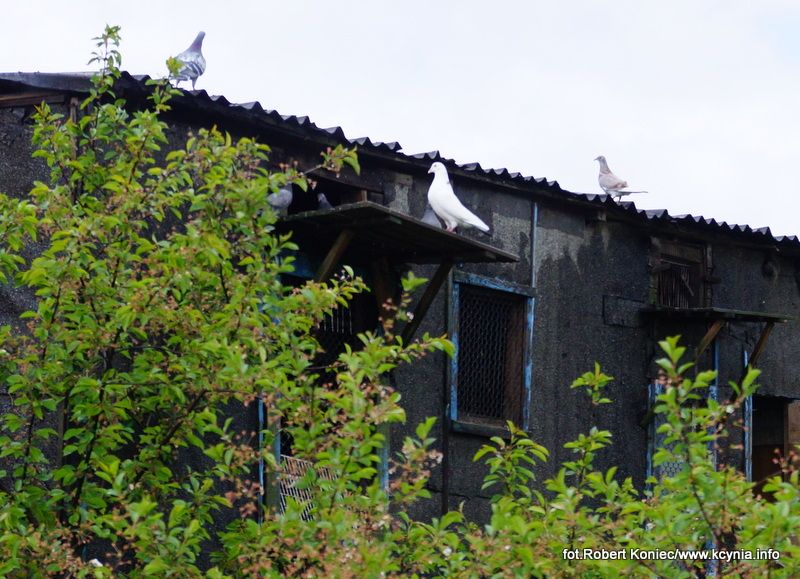 Informacje o działaniach straży pożarnej na terenie powiatu nakielskiego w okresie 29.04.2014 ? 4.05.2014