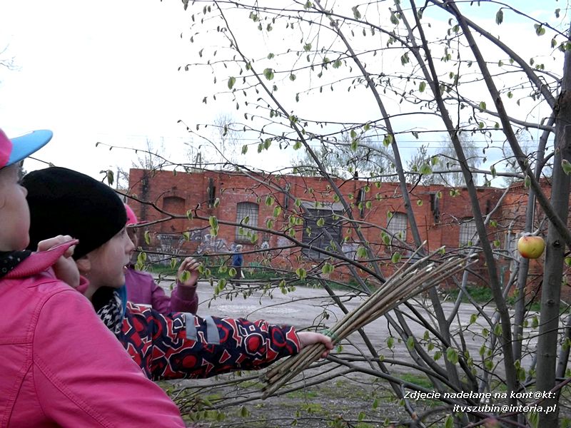 Rycerskie zuchy z Szubina