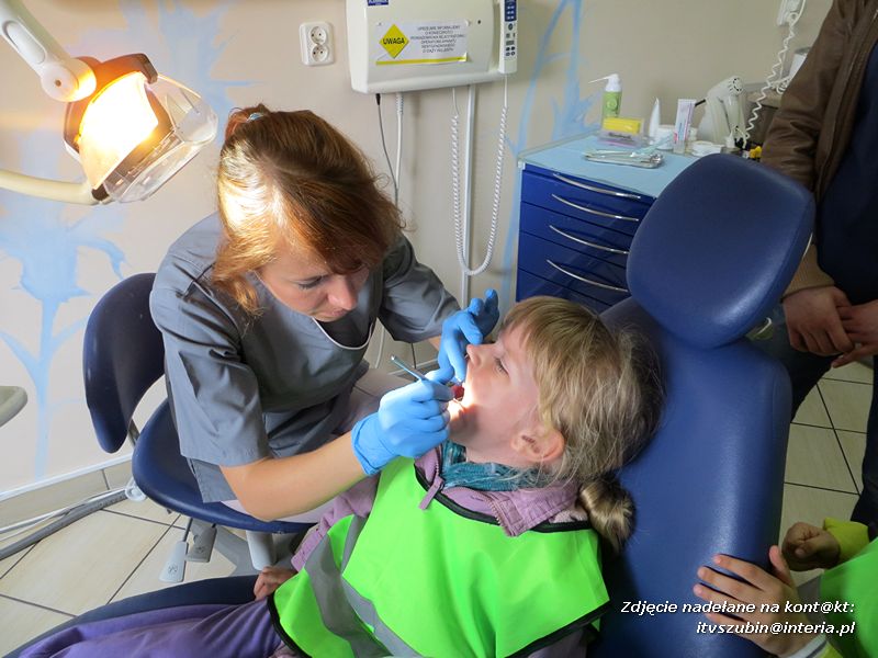 Pszczółki i Zuchy z wizytą w Family Dental w Bydgoszczy