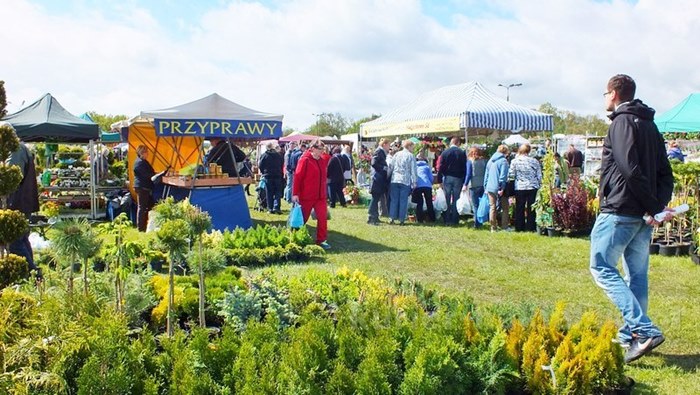 Pierwszy dzień Targów 