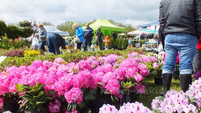 Pierwszy dzień Targów 