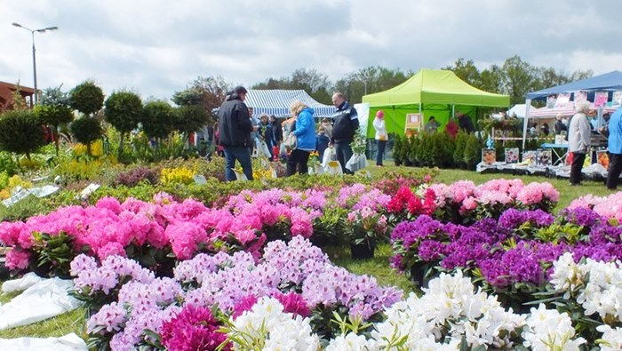 Pierwszy dzień Targów 