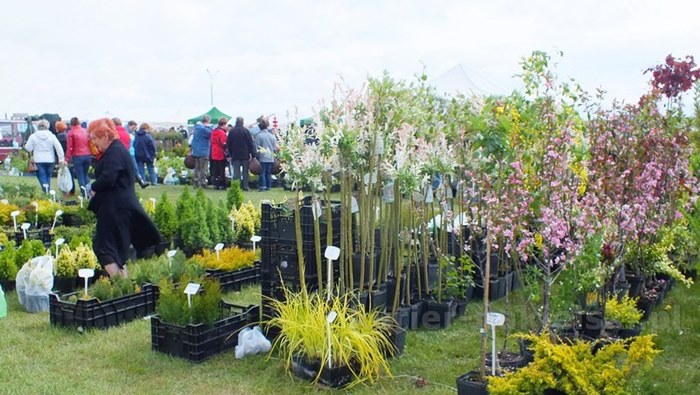 Pierwszy dzień Targów 