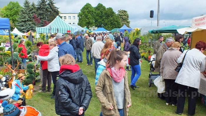 Pierwszy dzień Targów 