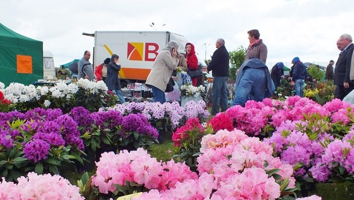 Pierwszy dzień Targów 