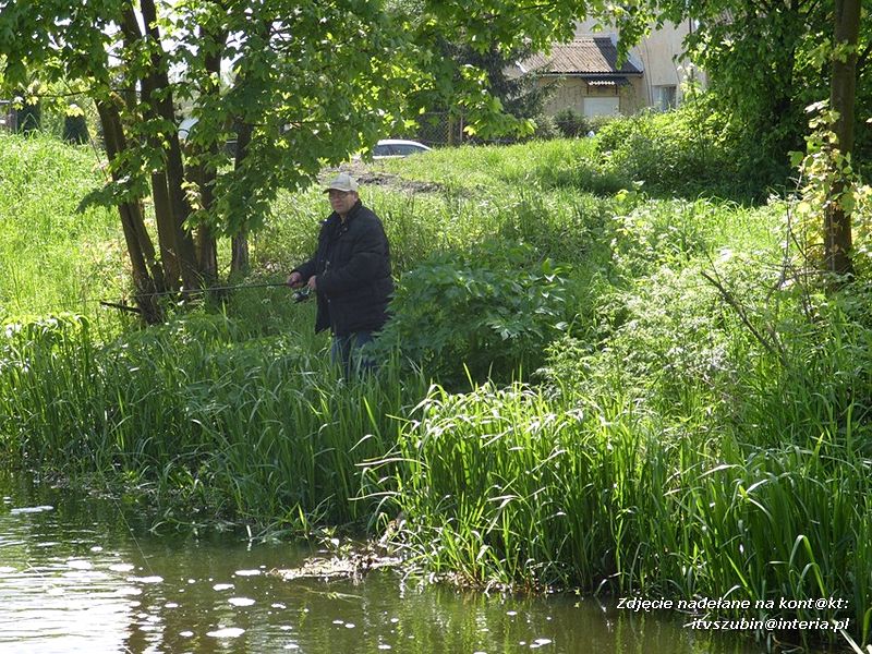 Zawody spinningowe koła PZW 128 Szubin