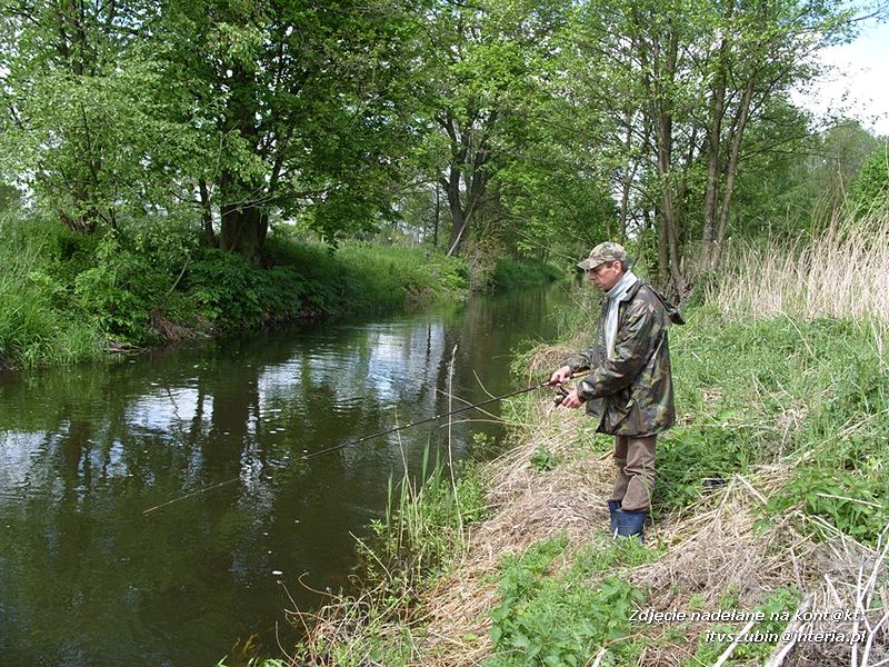 Zawody spinningowe koła PZW 128 Szubin