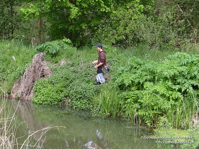 Zawody spinningowe koła PZW 128 Szubin