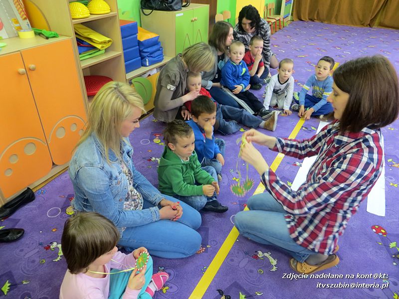 Traffic rules / zasady ruchu drogowego - zajęcia otwarte u 