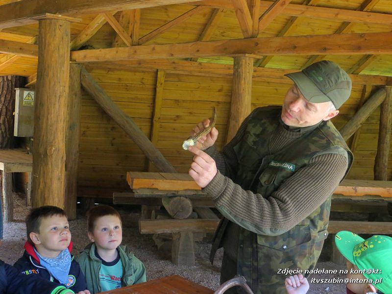 Starszaki ze Słoneczka odwiedziły Zielonowo