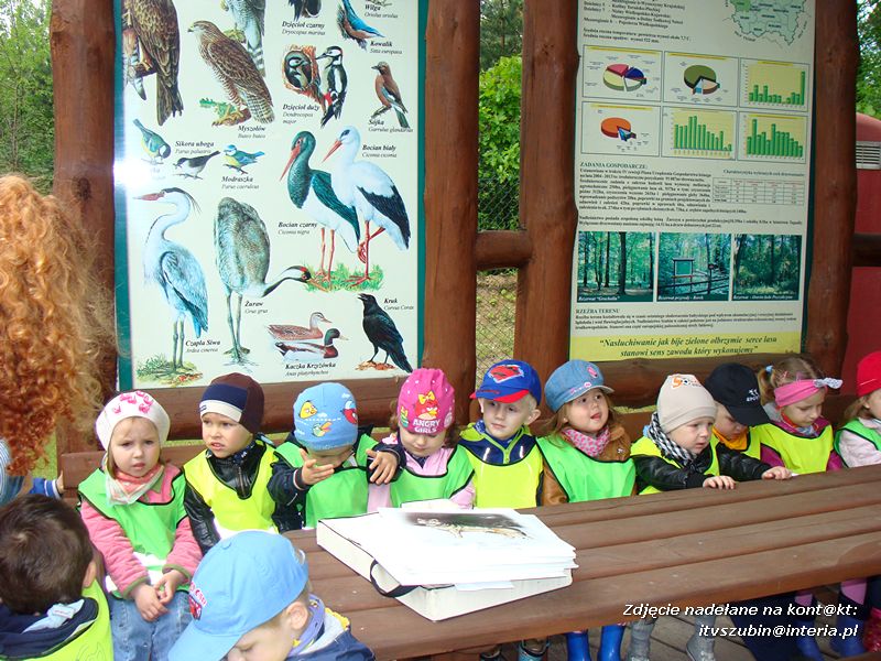 Żabki? i ?Misie? poznają las!