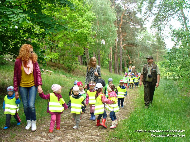 Żabki? i ?Misie? poznają las!