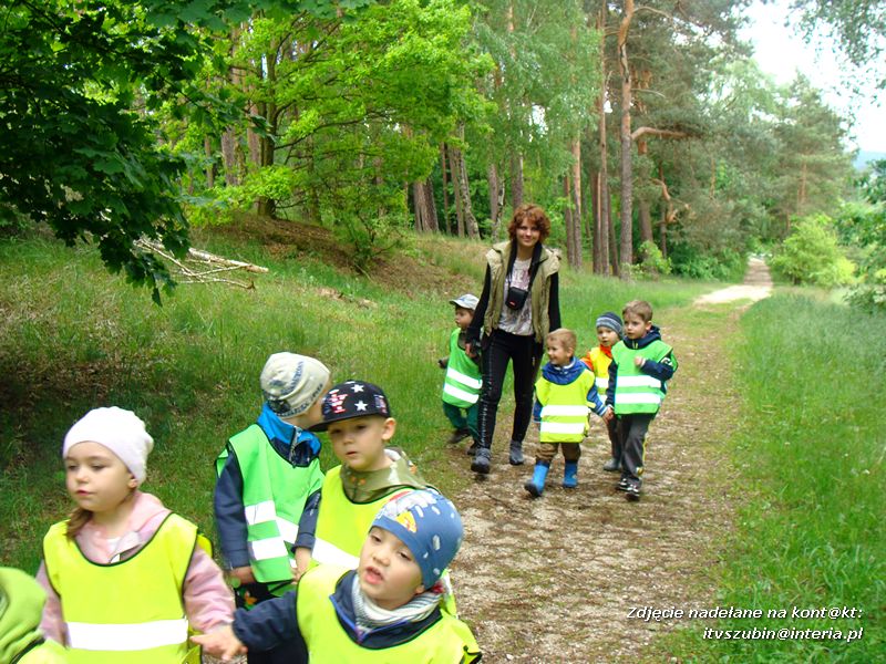 Żabki? i ?Misie? poznają las!