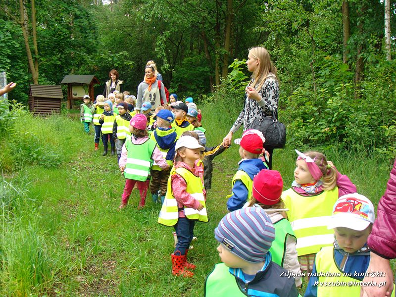 Żabki? i ?Misie? poznają las!