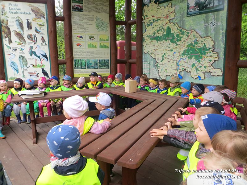 Żabki? i ?Misie? poznają las!