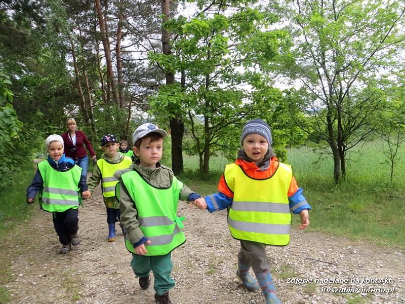 Żabki? i ?Misie? poznają las!