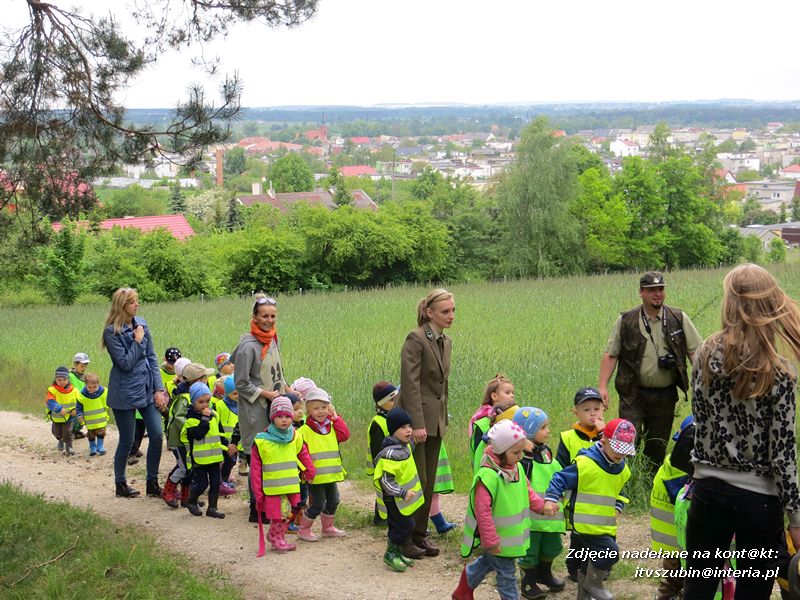 Żabki? i ?Misie? poznają las!
