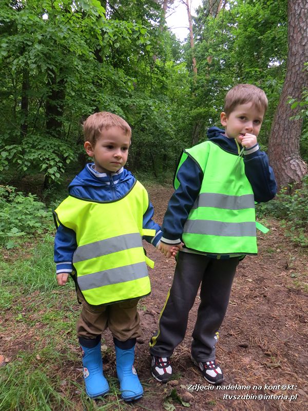 Żabki? i ?Misie? poznają las!