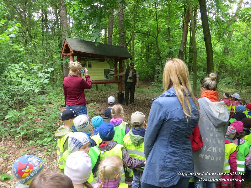 Żabki? i ?Misie? poznają las!