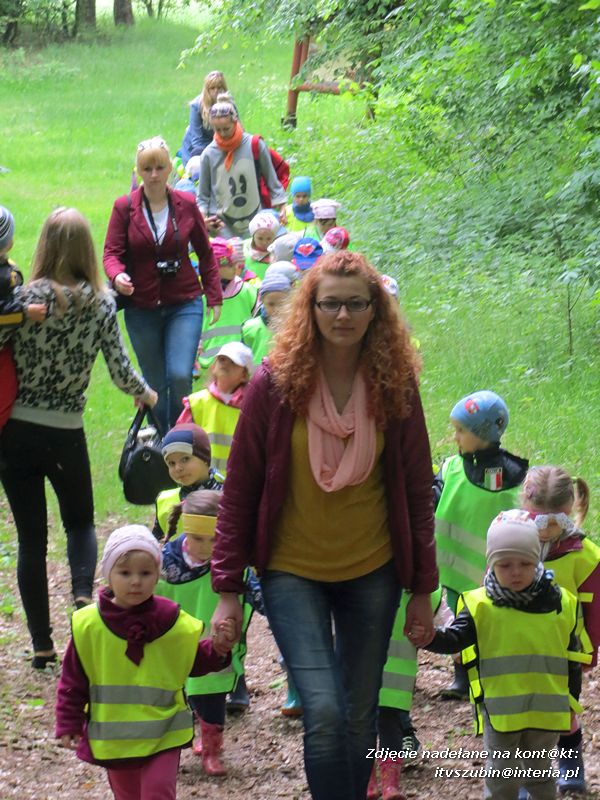 Żabki? i ?Misie? poznają las!