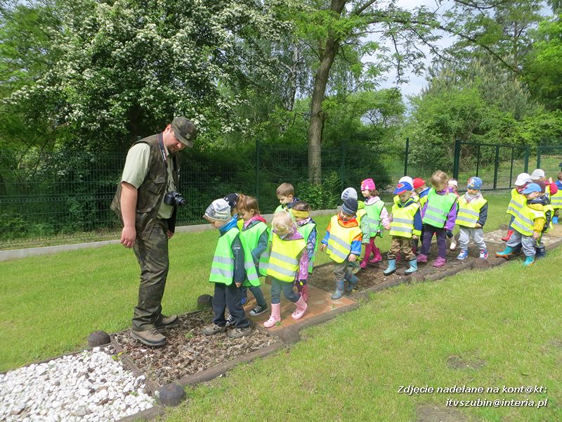 Żabki? i ?Misie? poznają las!