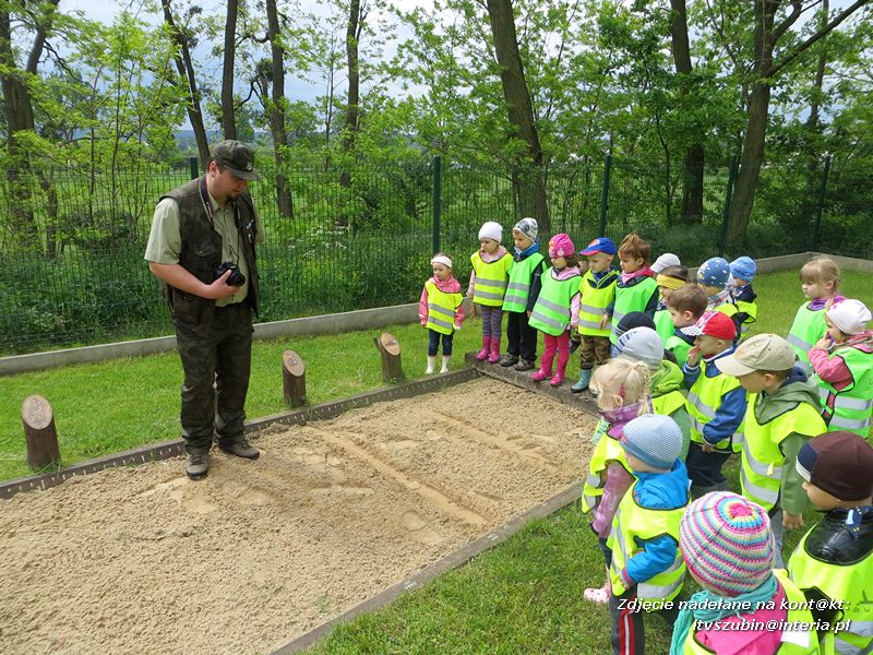 Żabki? i ?Misie? poznają las!