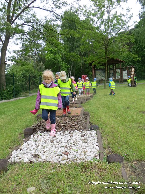 Żabki? i ?Misie? poznają las!