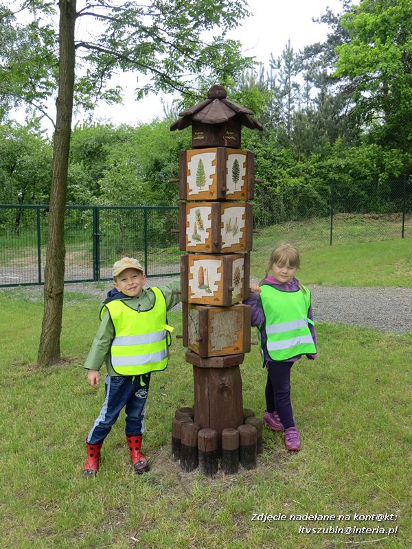 Żabki? i ?Misie? poznają las!