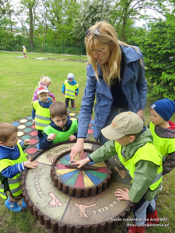 Żabki? i ?Misie? poznają las!