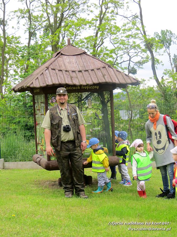 Żabki? i ?Misie? poznają las!