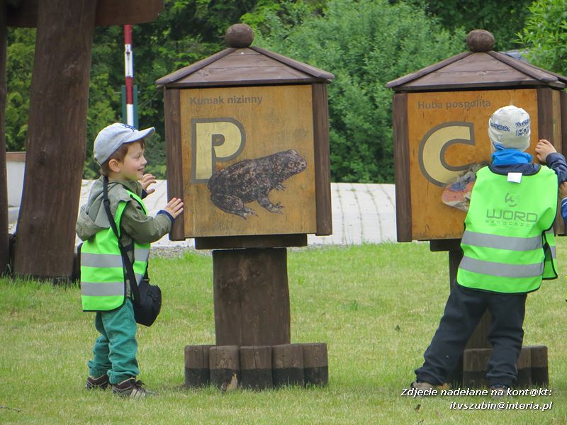 Żabki? i ?Misie? poznają las!