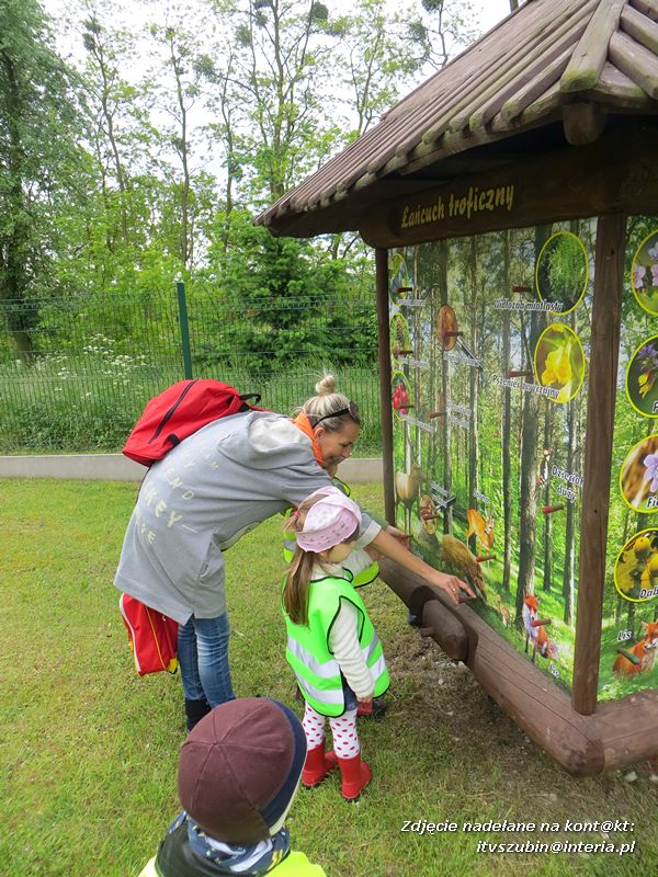 Żabki? i ?Misie? poznają las!