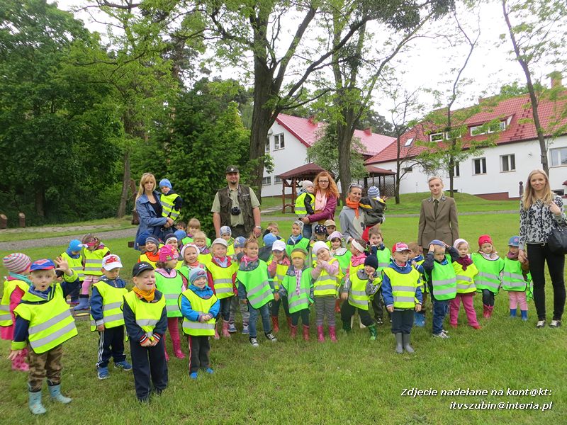 Żabki? i ?Misie? poznają las!