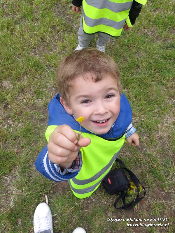 Żabki? i ?Misie? poznają las!