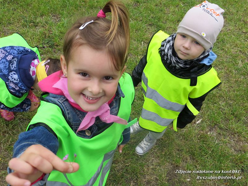 Żabki? i ?Misie? poznają las!