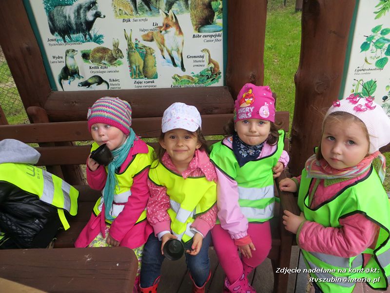 Żabki? i ?Misie? poznają las!