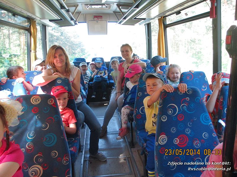 Motylki wiedzą, jak pomagać jeżom