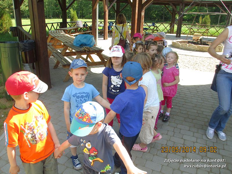 Motylki wiedzą, jak pomagać jeżom