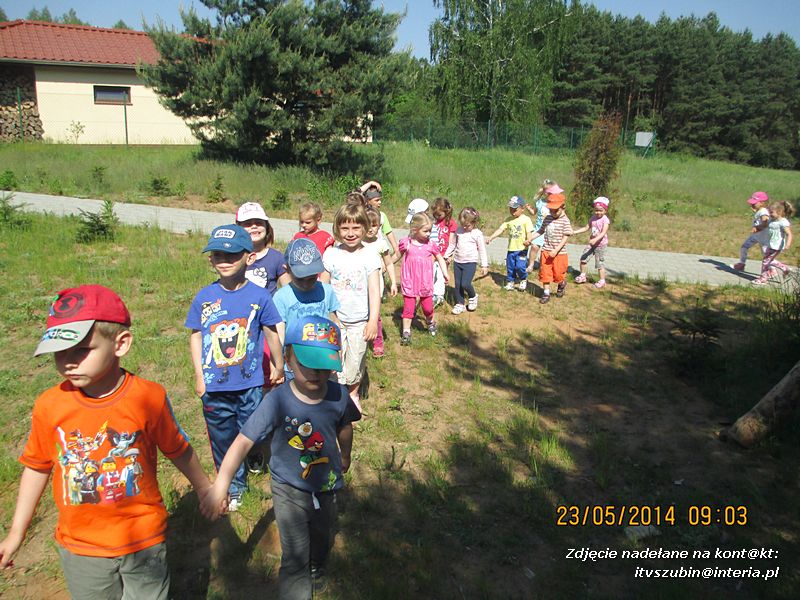 Motylki wiedzą, jak pomagać jeżom