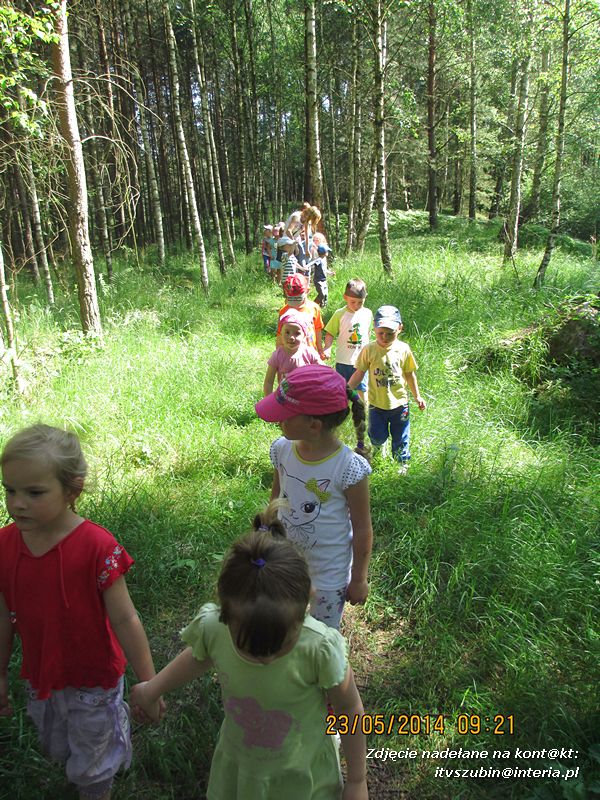 Motylki wiedzą, jak pomagać jeżom