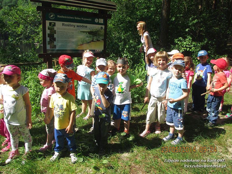 Motylki wiedzą, jak pomagać jeżom